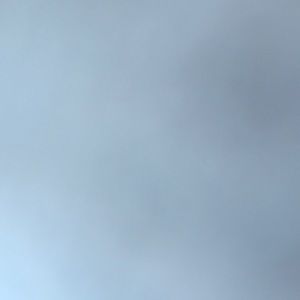 Meet your Posher, Ellie